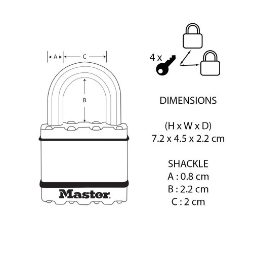 Lot de 2 cadenas à clé en  acier laminé, MASTER LOCK, l.45 mm - MASTER LOCK