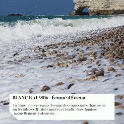 Peinture extérieure bois V33 Couleurs d'ici, blanc ral 9016 velours 0.5l - V33