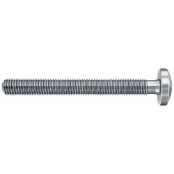 Lot de 4 chevilles murale avec vis DuoHM FISCHER, Diam.6 x L.55 mm - FISCHER