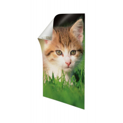 Languette poster petit modele blanc lot de 12 - COMMAND