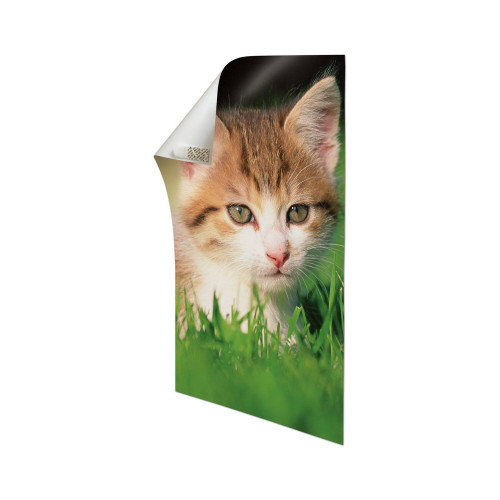 Languette poster petit modele blanc lot de 12 - COMMAND