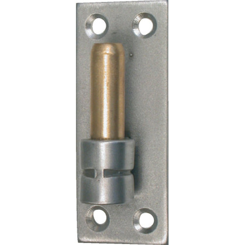 Gond Sur Platine Inox Brossé, Dia. 14 X Ht.100 Mm - AFBAT