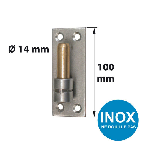 Gond Sur Platine Inox Brossé, Dia. 14 X Ht.100 Mm - AFBAT