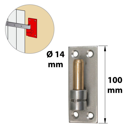 Gond Sur Platine Inox Brossé, Dia. 14 X Ht.100 Mm - AFBAT