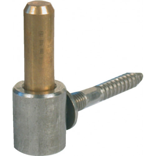 Gond À Visser Inox Brossé, H.93X Diam.14 Mm - AFBAT