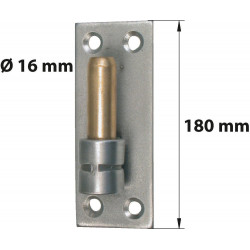 Gond Sur Platine Inox Brossé, Dia. 16 X Ht.180 Mm - AFBAT
