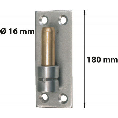 Gond Sur Platine Inox Brossé, Dia. 16 X Ht.180 Mm - AFBAT