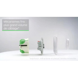 Double prise avec terre verticale Ovalis, SCHNEIDER ELECTRIC, blanc - SCHNEIDER ELECTRIC