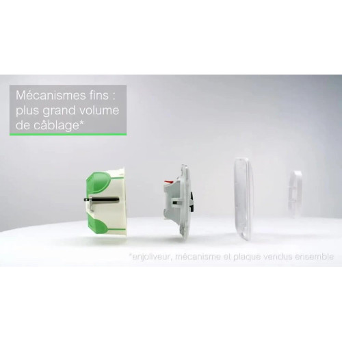 Double prise avec terre verticale Ovalis, SCHNEIDER ELECTRIC, blanc - SCHNEIDER ELECTRIC