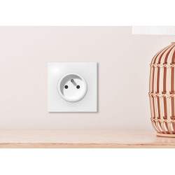 Lot de 10 prises avec terre Neptune, blanc, LEGRAND - LEGRAND