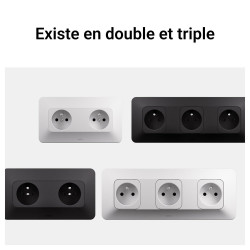 Prise sans terre complet neptune blanc legrand - LEGRAND