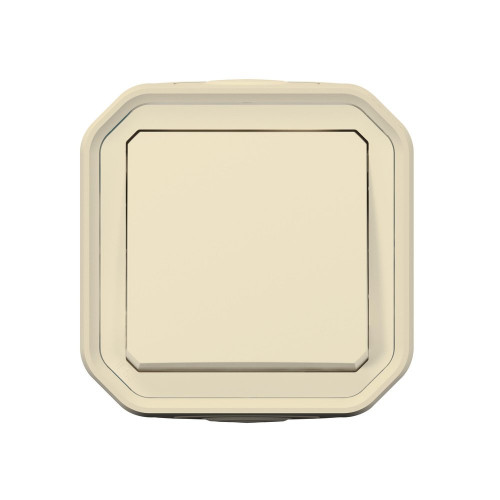 Interrupteur vv étanche ip55 encastre complet plexo baige LEGRAND - LEGRAND