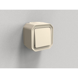 Interrupteur vv étanche ip55 encastre complet plexo baige LEGRAND - LEGRAND