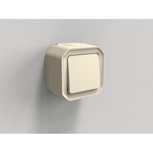 Interrupteur vv étanche ip55 encastre complet plexo baige LEGRAND - LEGRAND