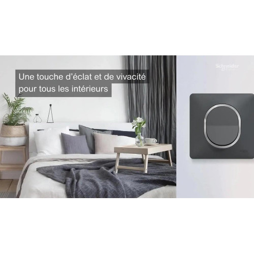 Plaque double horizontale Ovalis, SCHNEIDER ELECTRIC, blanc - SCHNEIDER ELECTRIC