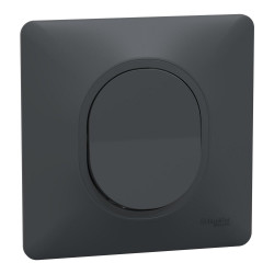 Lot de 5 interrupteurs va-et-vient complet Ovalis SCHNEIDER ELECTRIC, anthracite de marque SCHNEIDER ELECTRIC, référence: B9958700