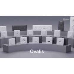 Détecteur de mouvement complet Ovalis, SCHNEIDER ELECTRIC, blanc - SCHNEIDER ELECTRIC