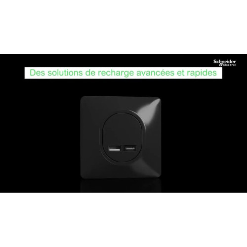 Poussoir à assembler Ovalis, SCHNEIDER ELECTRIC, anthracite - SCHNEIDER ELECTRIC