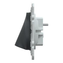 Sortie de câble à assembler Ovalis, SCHNEIDER ELECTRIC, anthracite - SCHNEIDER ELECTRIC