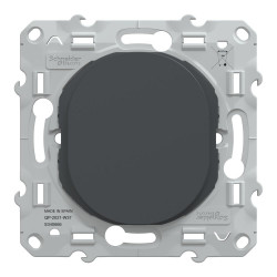 Obturateur à assembler Ovalis, SCHNEIDER ELECTRIC, anthracite de marque SCHNEIDER ELECTRIC, référence: B9962300