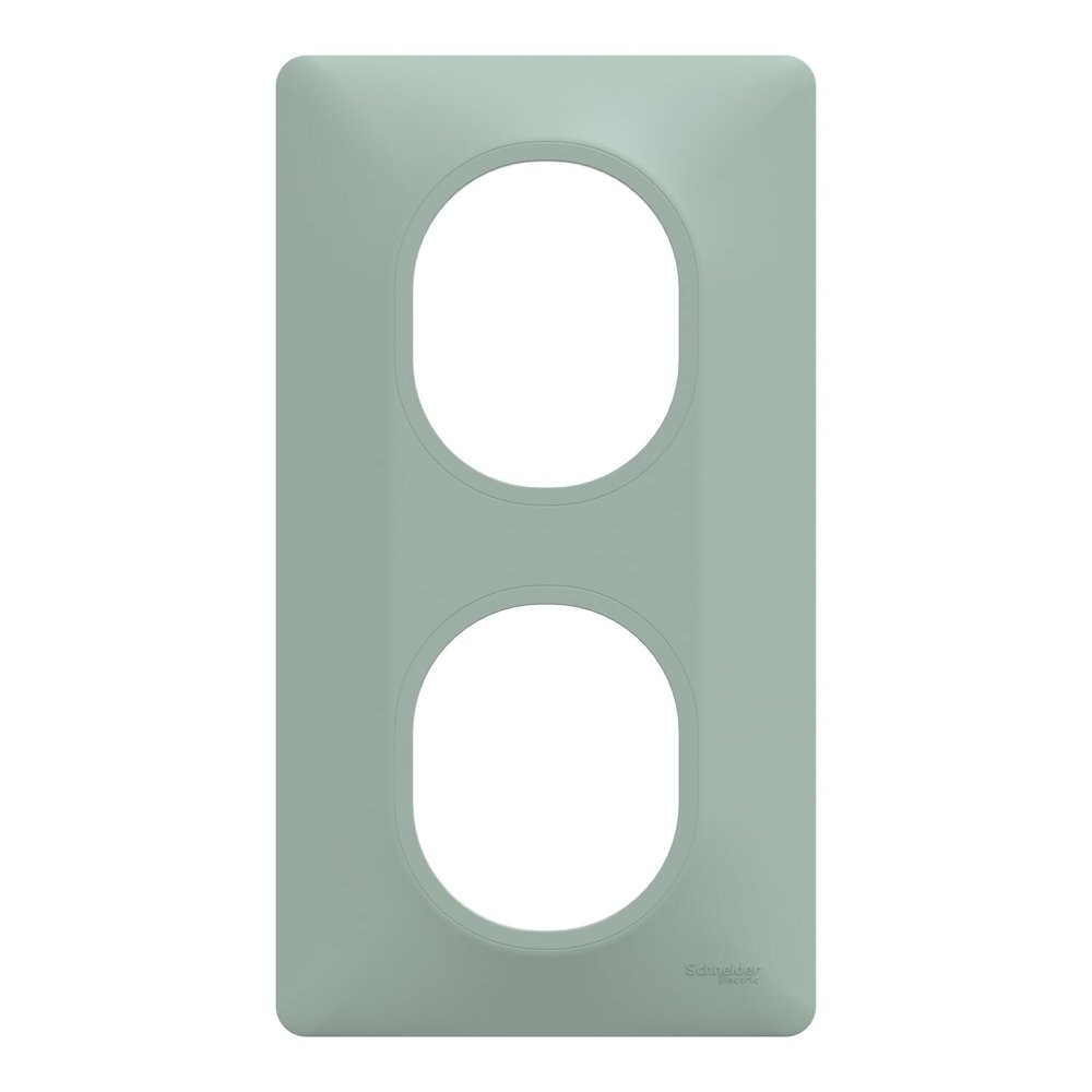 Plaque de finition 2 postes Schneider Electric Ovalis S320724A coloris .87 x P.10 x H.158 mm - vue 2
