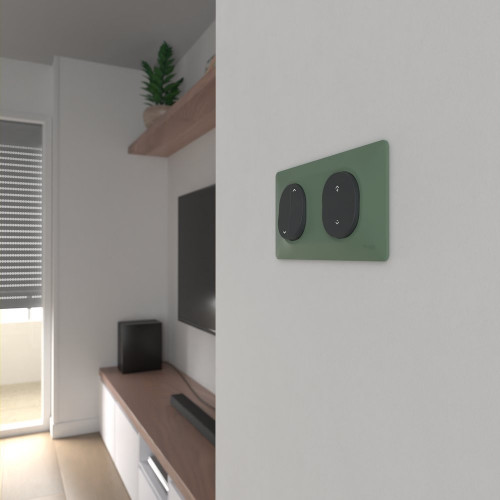 Plaque double Ovalis, SCHNEIDER ELECTRIC, vert forêt - SCHNEIDER ELECTRIC