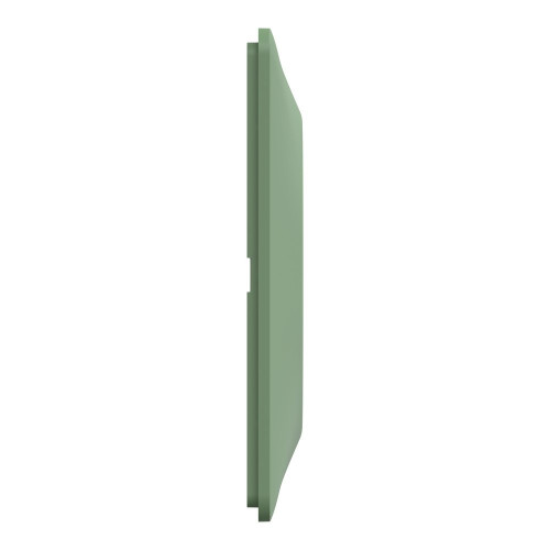 Plaque double Ovalis, SCHNEIDER ELECTRIC, vert forêt - SCHNEIDER ELECTRIC