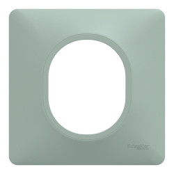Plaque simple Ovalis, SCHNEIDER ELECTRIC, sauge de marque SCHNEIDER ELECTRIC, référence: B9964100