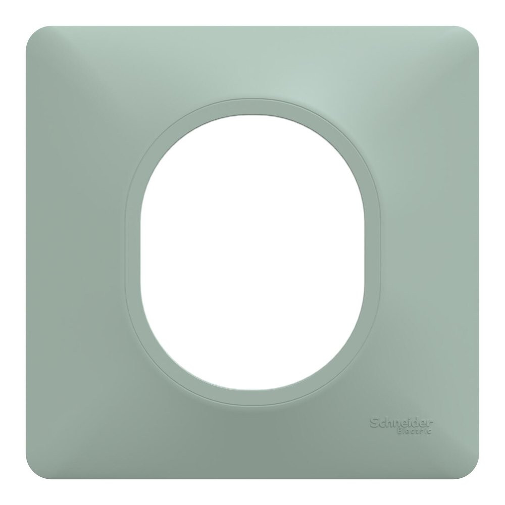 Plaque de finition 1 poste Schneider Electric Ovalis S320702A coloris .87 x P.10 x H.87 mm - vue 2