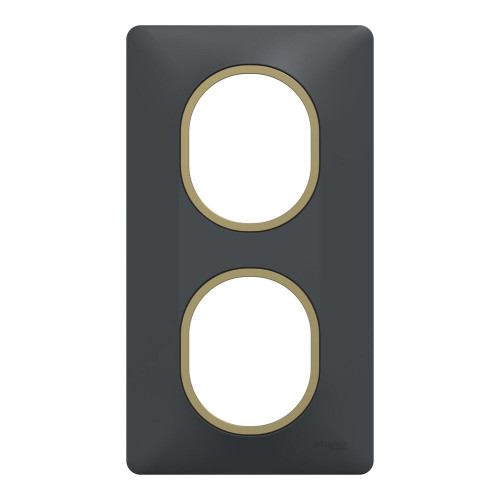 Plaque double verticale Ovalis SCHNEIDER ELECTRIC, anthracite bague effet laiton - SCHNEIDER ELECTRIC