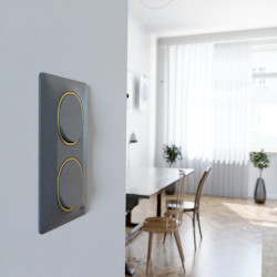 Plaque double verticale Ovalis SCHNEIDER ELECTRIC, anthracite bague effet laiton - SCHNEIDER ELECTRIC