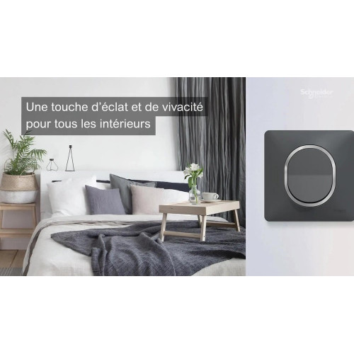 Plaque simple Ovalis, SCHNEIDER ELECTRIC, blanc bague effet argent chromé - SCHNEIDER ELECTRIC