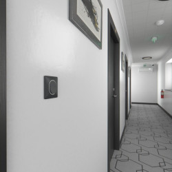 Plaque simple Ovalis, SCHNEIDER ELECTRIC, anthracite bague effet argent chromé - SCHNEIDER ELECTRIC