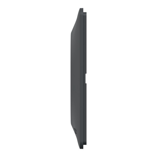 Plaque simple Ovalis, SCHNEIDER ELECTRIC, anthracite bague effet argent chromé - SCHNEIDER ELECTRIC