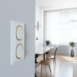 Plaque double verticale Ovalis, SCHNEIDER ELECTRIC, blanc bague effet laiton - SCHNEIDER ELECTRIC