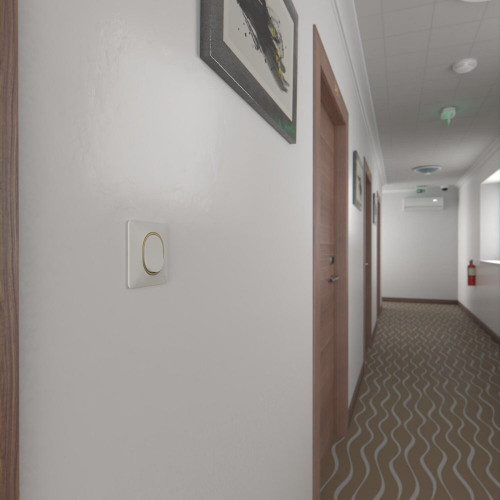 Plaque simple Ovalis, SCHNEIDER ELECTRIC, blanc bague effet laiton - SCHNEIDER ELECTRIC