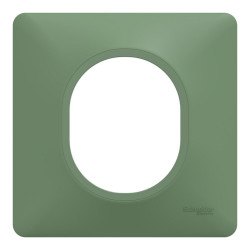 Plaque simple Ovalis, SCHNEIDER ELECTRIC, vert forêt de marque SCHNEIDER ELECTRIC, référence: B9964700