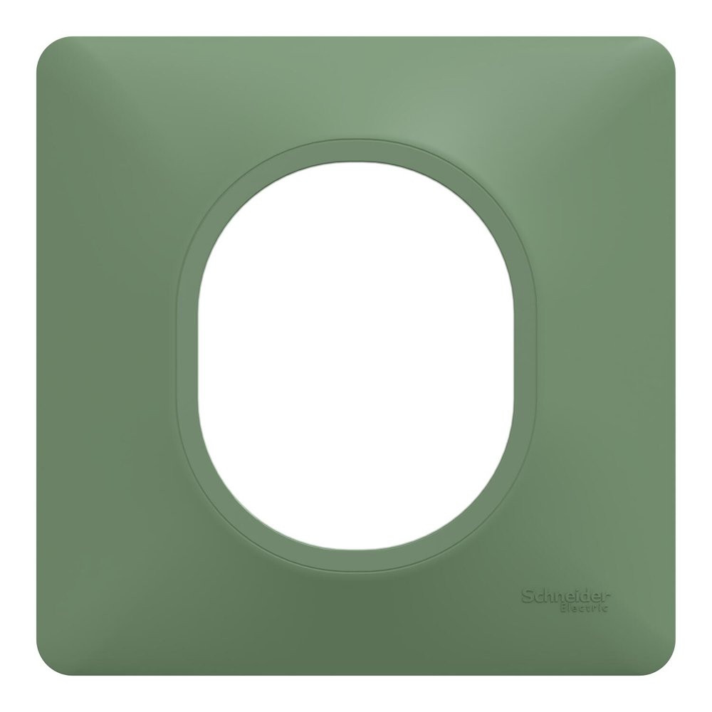 Plaque de finition 1 poste Schneider Electric Ovalis S320702B coloris forêt .87 x P.10 x H.87 mm - vue 2