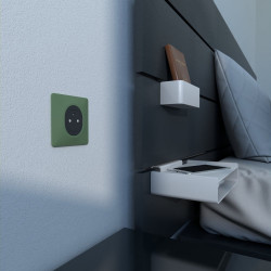 Plaque simple Ovalis, SCHNEIDER ELECTRIC, vert forêt - SCHNEIDER ELECTRIC