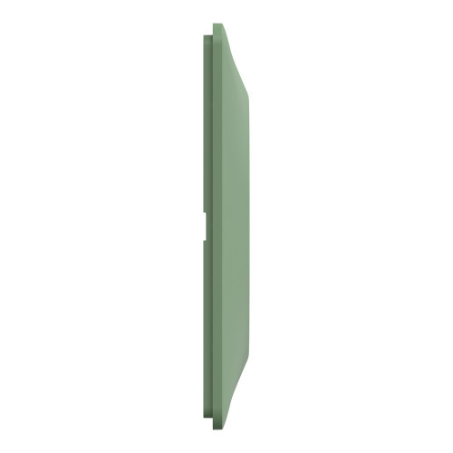 Plaque simple Ovalis, SCHNEIDER ELECTRIC, vert forêt - SCHNEIDER ELECTRIC