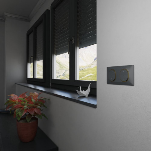 Plaque double Ovalis, SCHNEIDER ELECTRIC, anthracite bague effet laiton - SCHNEIDER ELECTRIC