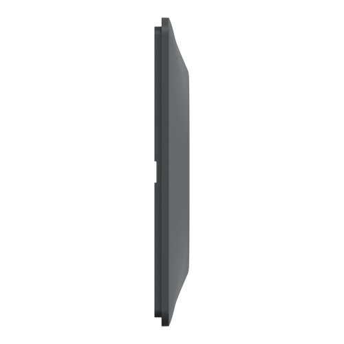 Plaque double Ovalis, SCHNEIDER ELECTRIC, anthracite bague effet laiton - SCHNEIDER ELECTRIC