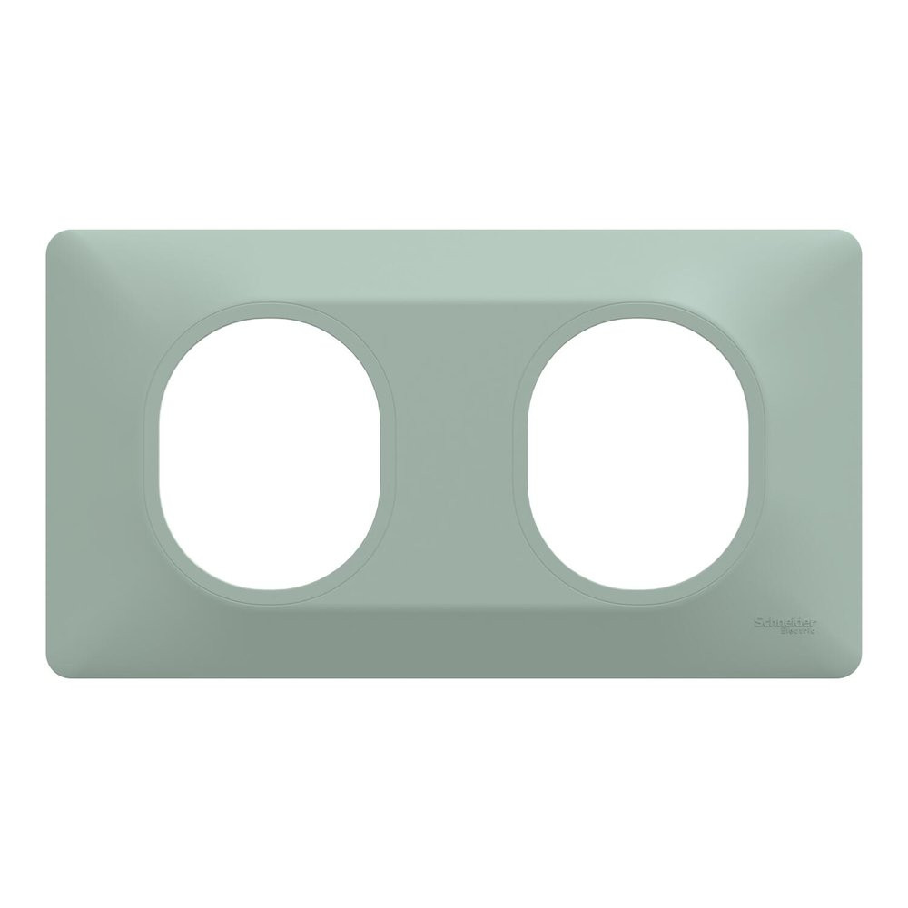 Plaque de finition 2 postes Schneider Electric Ovalis S320704A coloris .158 x P.10 x H.87 mm - vue 2