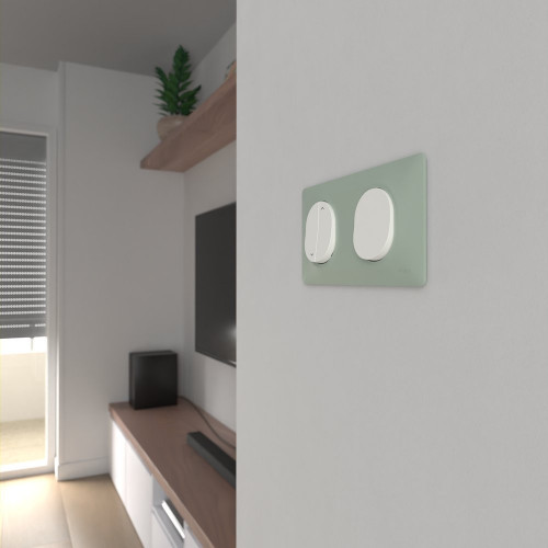 Plaque double Ovalis, SCHNEIDER ELECTRIC, sauge - SCHNEIDER ELECTRIC