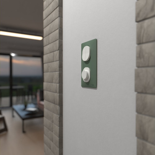 Plaque double verticale Ovalis, SCHNEIDER ELECTRIC, vert foret - SCHNEIDER ELECTRIC