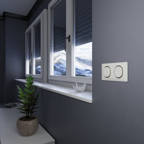 Plaque double Ovalis, SCHNEIDER ELECTRIC, blanc bague effet laiton - SCHNEIDER ELECTRIC