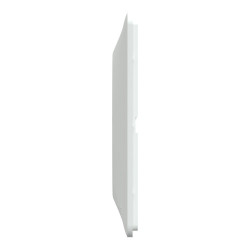 Plaque double Ovalis, SCHNEIDER ELECTRIC, blanc bague effet laiton - SCHNEIDER ELECTRIC