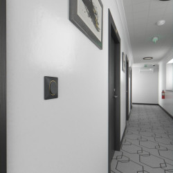 Plaque simple Ovalis, SCHNEIDER ELECTRIC, anthracite bague effet laiton - SCHNEIDER ELECTRIC