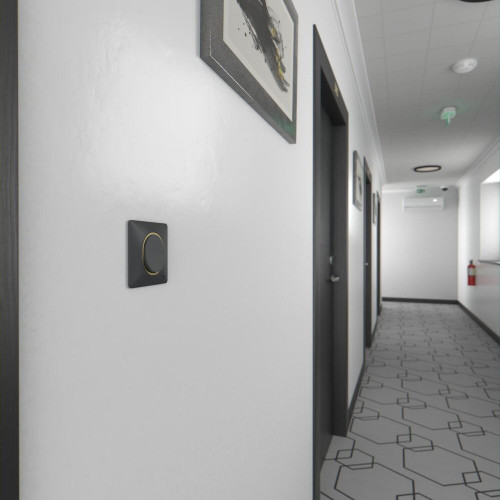 Plaque simple Ovalis, SCHNEIDER ELECTRIC, anthracite bague effet laiton - SCHNEIDER ELECTRIC
