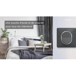 Plaque simple Ovalis, SCHNEIDER ELECTRIC, anthracite bague effet laiton - SCHNEIDER ELECTRIC